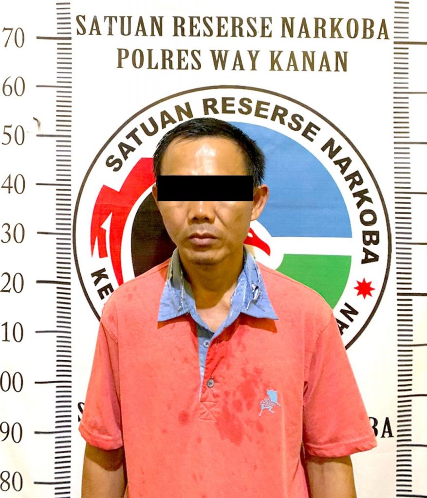 Diduga Edarkan Sabu Seorang Pemuda Way Kanan  Di Amankan  Polisi