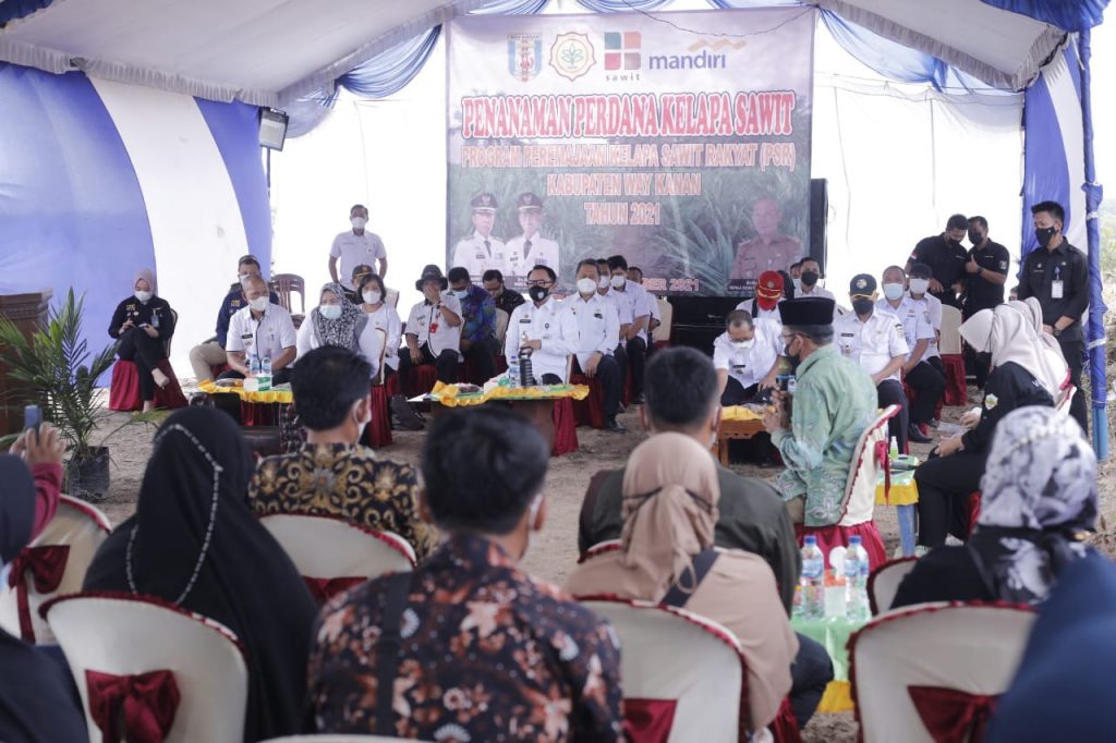 Bupati Adipaty Resmikan Penanaman Perdana Kelapa Sawit