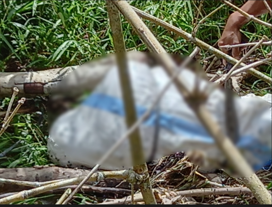Penemuan Mayat Dalam Karung Hebohkan Warga Pekon Atar Kuwaw Kecamatan Batu Ketulis.