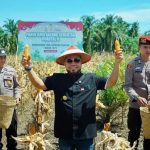 Gubernur Bengkulu, H Helmi Hasan .SE Memperkuat Ketahanan Pangan Nasional Laksanakan Panen Raya Jagung Serentak.