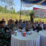 Dukung Ketahanan Pangan, Kapolres dan Polsek Jajaran Panen Jagung Serentak Kuartal 2 di Way Kanan