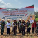 Kejaksaan Negeri Way Kanan Galakkan Gerakan Tanam Jagung Petani Mitra Adhyaksa Bersama Kepala Kejaksaan Tinggi Lampung
