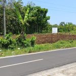 Warga Marah! Lahan PTPN 10 Yang Sedianya Akan Digunakan Untuk Kemaslahatan Warga Tiba Tiba Diratakan Untuk Ditanami Tebu Oleh Seorang Pengusaha Tani Tebu Asal Curahkalong Tanpa Konfirmasi Desa