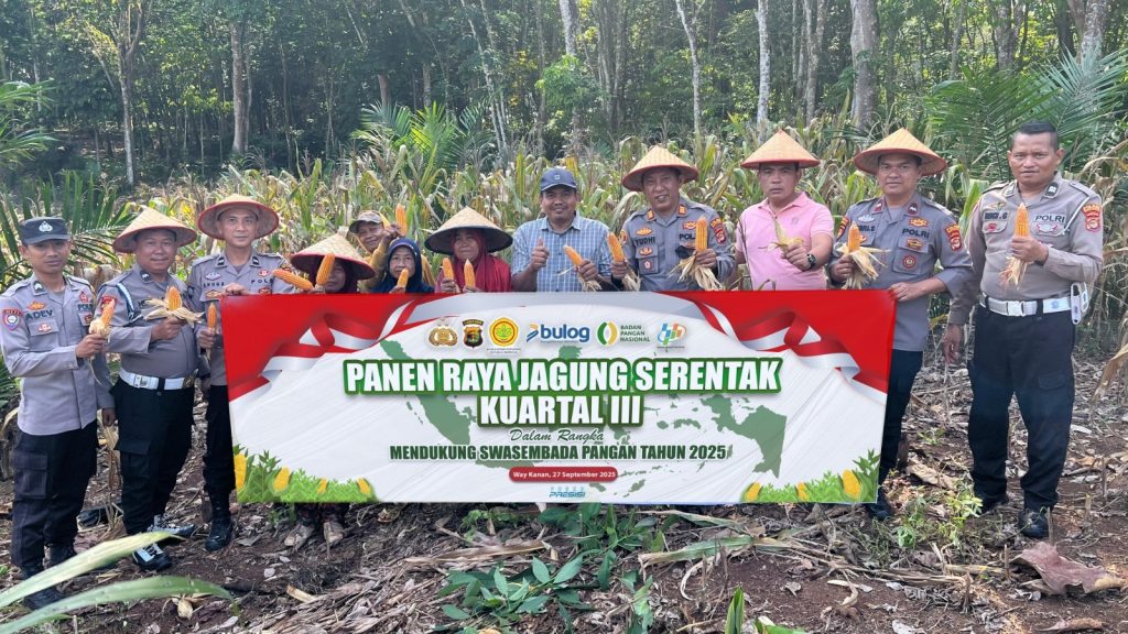 Polsek Blambangan Umpu Panen Jagung Serentak Kuartal III di Tanjung Mas