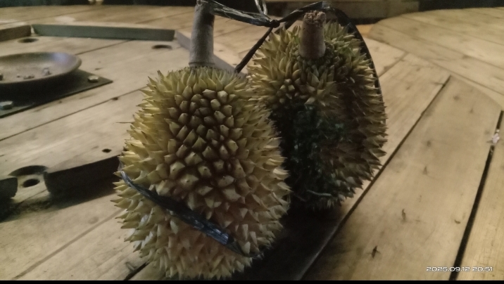 Candimulyo Magelang, Surga Durian Terbaik di Jawa Tengah