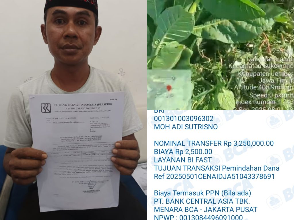 Tanah  Seorang Warga Jember Dijaminkan ke BRI Bondowoso Diduga Dilelang Tanpa Kejelasan Administrasi