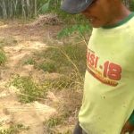 Masyarakat Takut, Ada Jejak Kaki Harimau di Kecamatan Way Tuba Way Kanan Dinas Terkait Diminta Turun Kelapangan