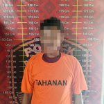 Polsek Penawartama Berhasil Ungkap Sindikat Pencurian Sawit, Dua Pelaku Dibekuk Bersama Mobil Grand Max Bermuatan BB
