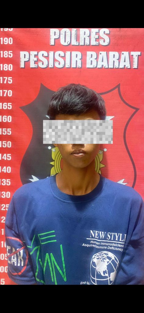 SAT RESKRIM POLRES PESISIR BARAT AMANKAN BURONAN KASUS PENGEROYOKAN ANAK HINGGA TEWAS