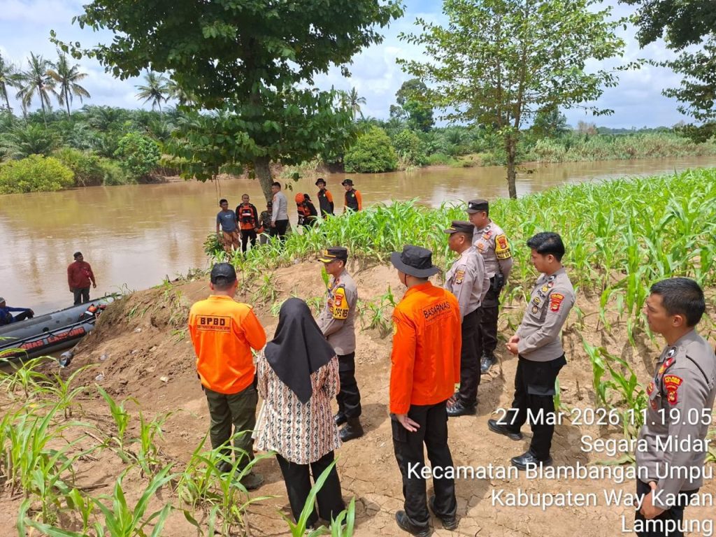 Diduga 2 Orang Hanyut Terbawa Arus Sungai Way Umpu, Polisi dan BPBD Way Kanan Masih Melakukan Pencarian