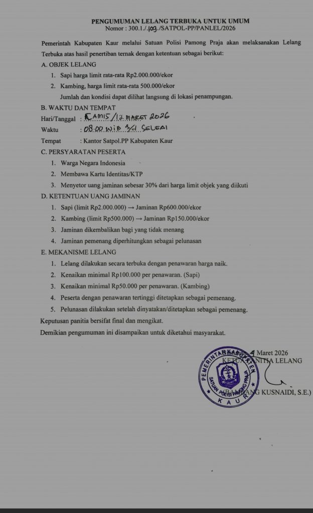 Lelang Terbuka Hewan Hasil Penertiban Dinas Satuan Polisi Pamong Praja Kabupaten Kaur