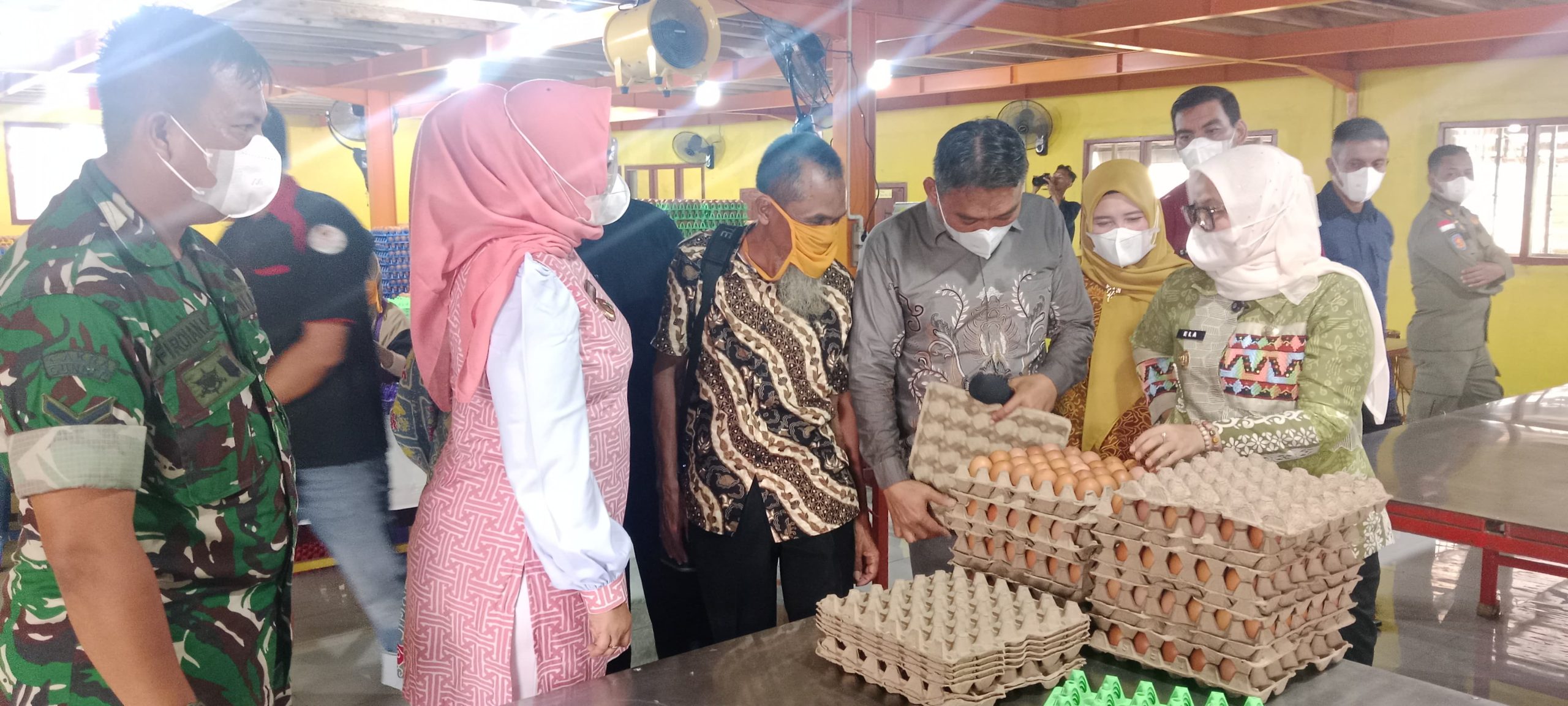 Peternakan Ayam Telur Herbals