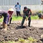 Gotong Royong TNI dan Warga Perbaiki Jalan Ramsai, Tingkatkan Akses dan Keselamatan