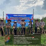 Kapolres Hadiri Panen Raya Jagung di Way Tuba, Dukung Ketahanan Pangan Nasional