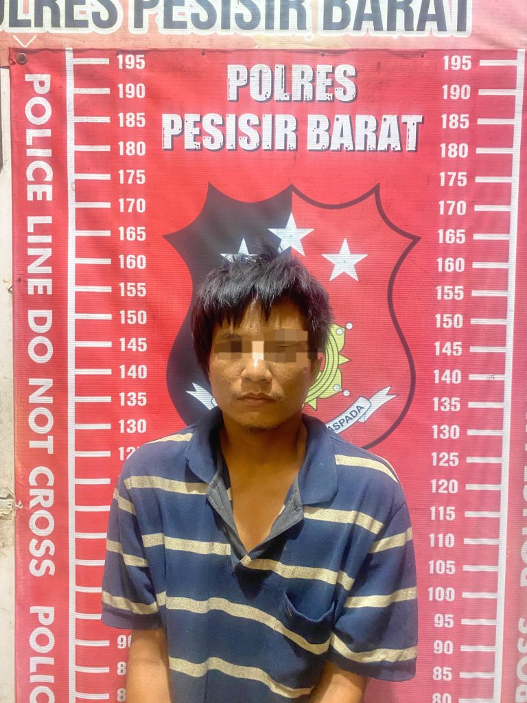 SAT RESKRIM POLRES PESISIR BARAT UNGKAP KASUS PENGANIAYAAN