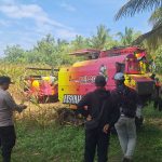 PANEN JAGUNG NASIONAL DI PESISIR SELATAN, POLRES PESISIR BARAT DUKUNG SWASEMBADA PANGAN BERKELANJUTAN