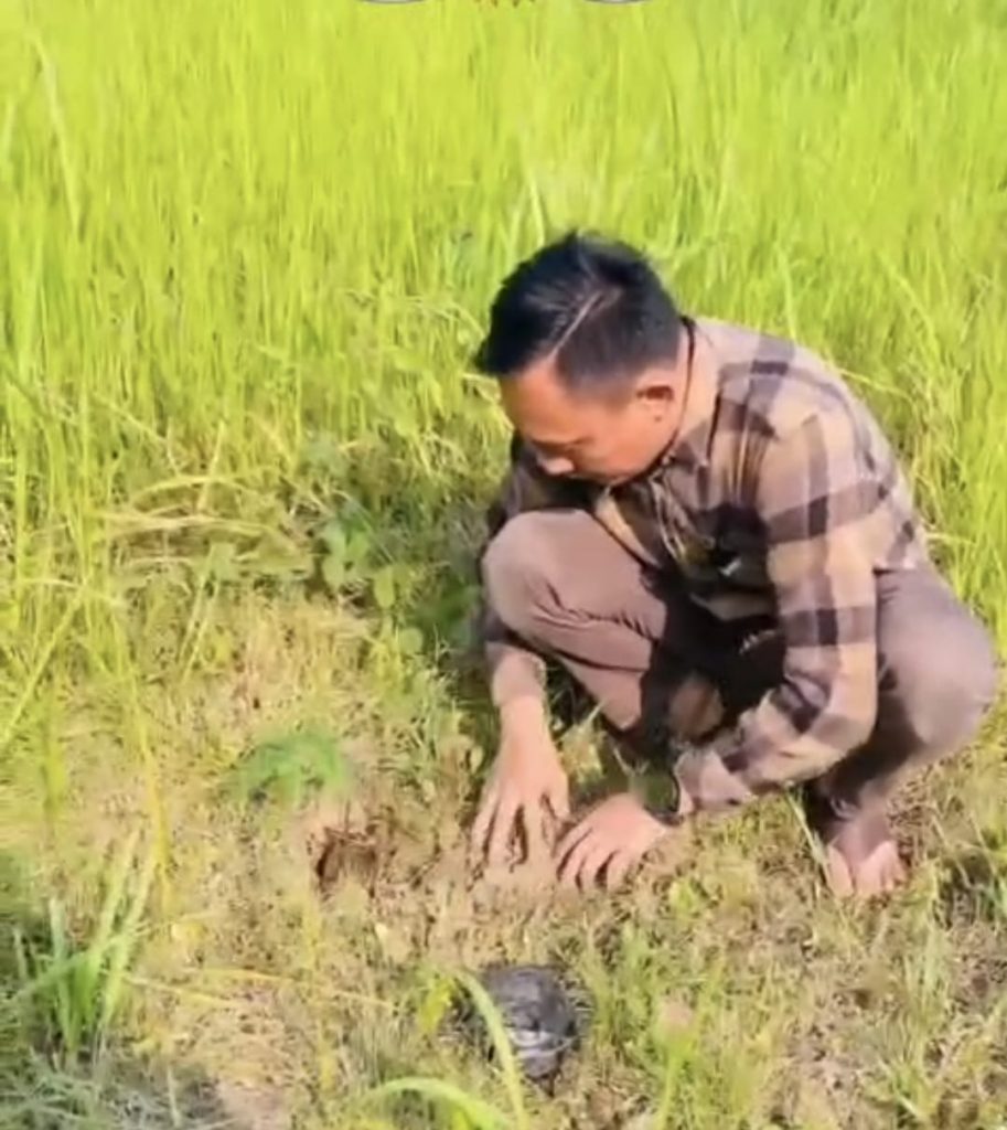 Sekretariat DPRD Bersama Jajaran Pemkab Adakan Penanaman Bibit Buah