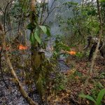 Cegah Karhutla, Polsek Umpu Semenguk Gerak Cepat Padamkan Api di Lahan Kebun